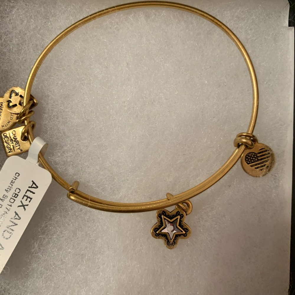 NWT Alex and Ani true wish bracelet